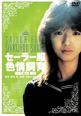 小姐 电影海报